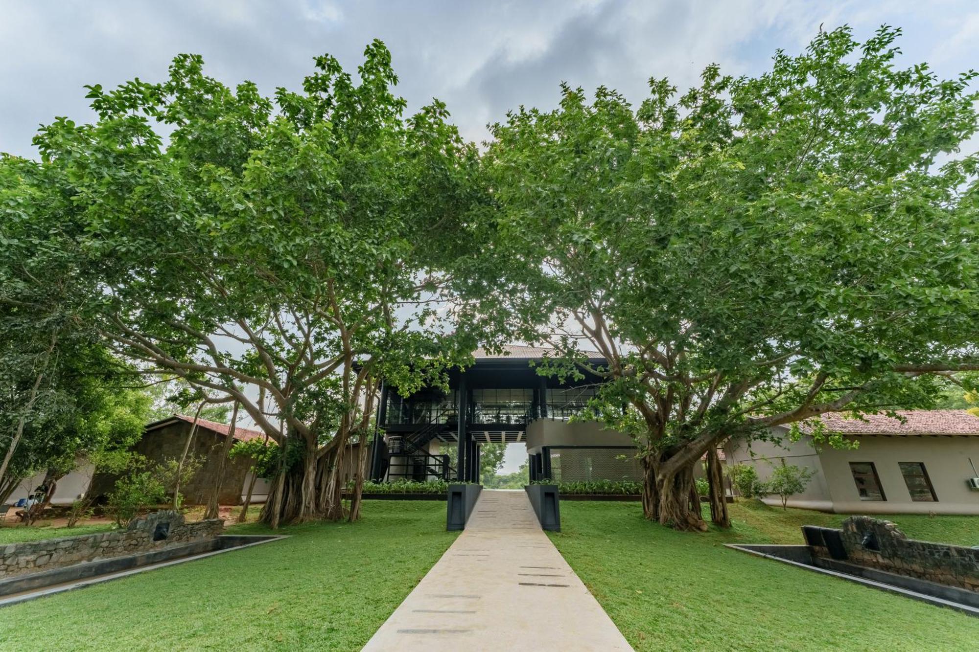 Ayugiri Ayurveda Wellness Resort Sigiriya Ngoại thất bức ảnh