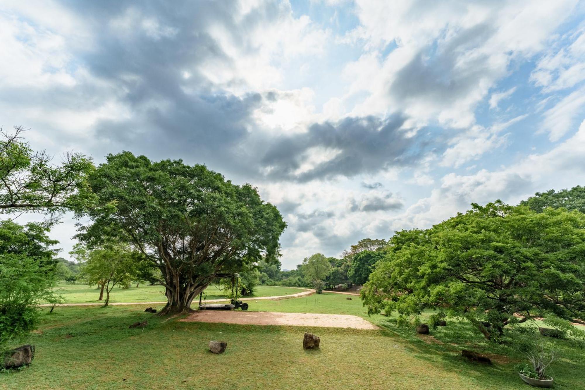 Ayugiri Ayurveda Wellness Resort Sigiriya Ngoại thất bức ảnh